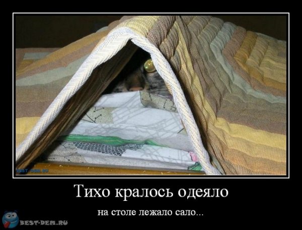 Одеяло юмор
