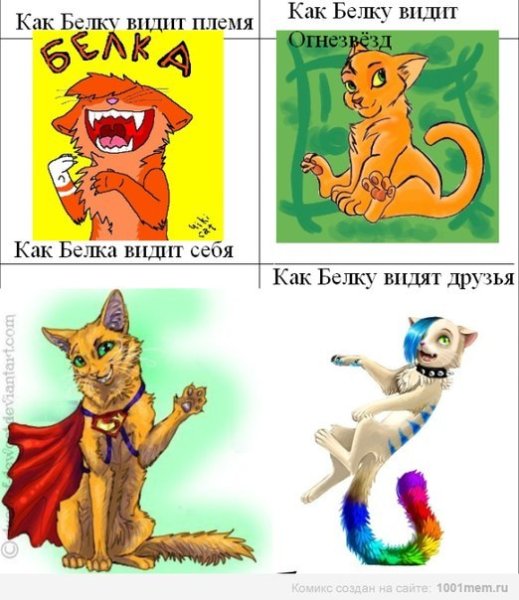 Коты Воители мемы