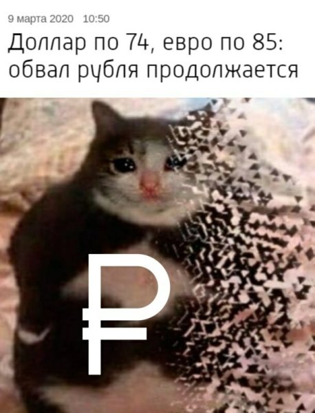 Ты что наделал Мем с котом