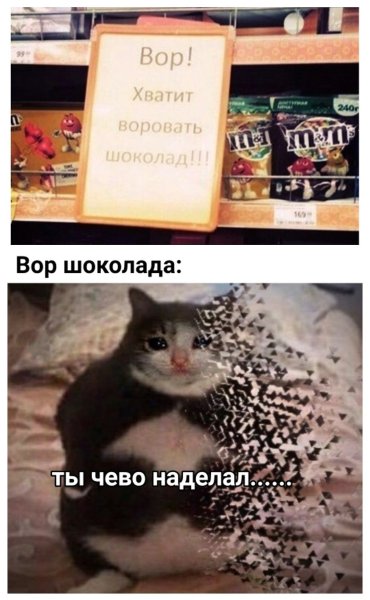 Ты что наделал Мем с котом