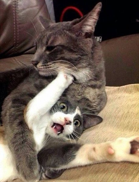 Обнимашки картинки