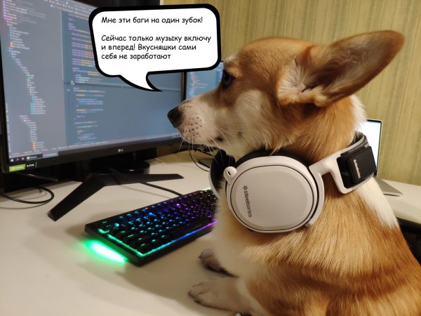 Собака за компьютером