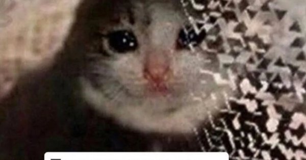 Вы что наделали картинка