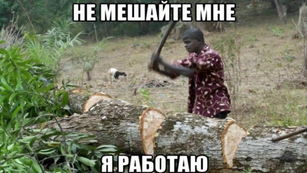 Солнце еще высоко