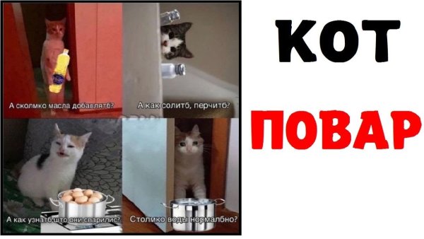 Мем кот повариха