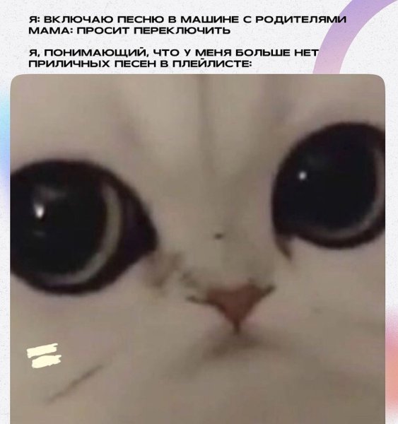 Пикча злюся