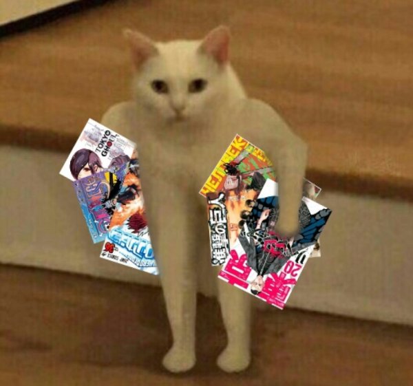 Кот качок картинка