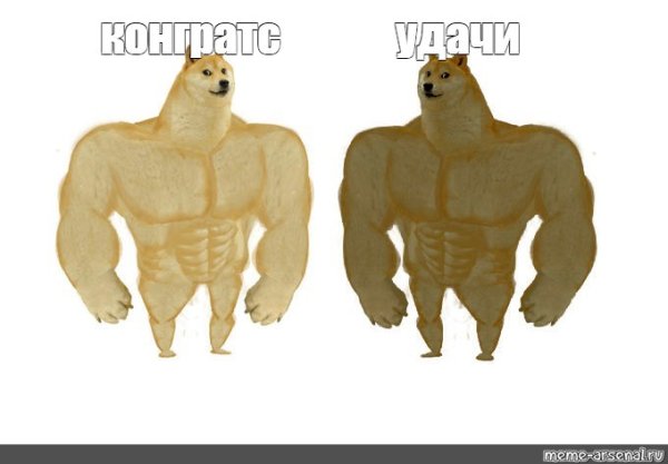 Собака с мускулами Мем