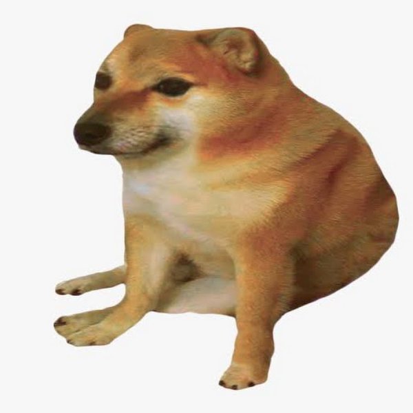 Собачка Doge