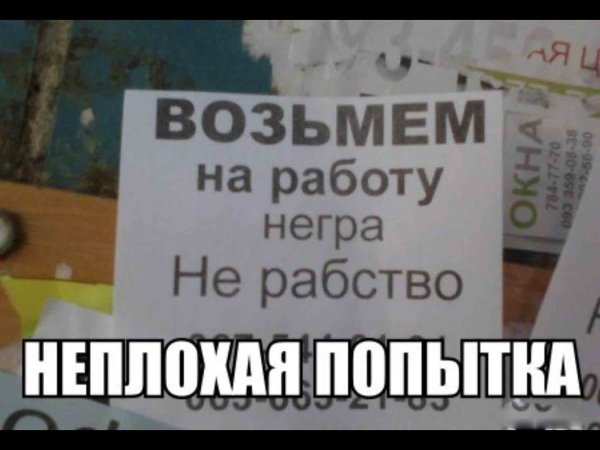 Возьмем на работу негра