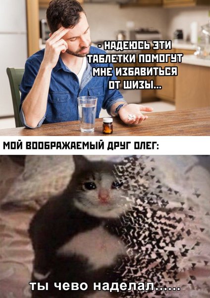 Мемы с котами