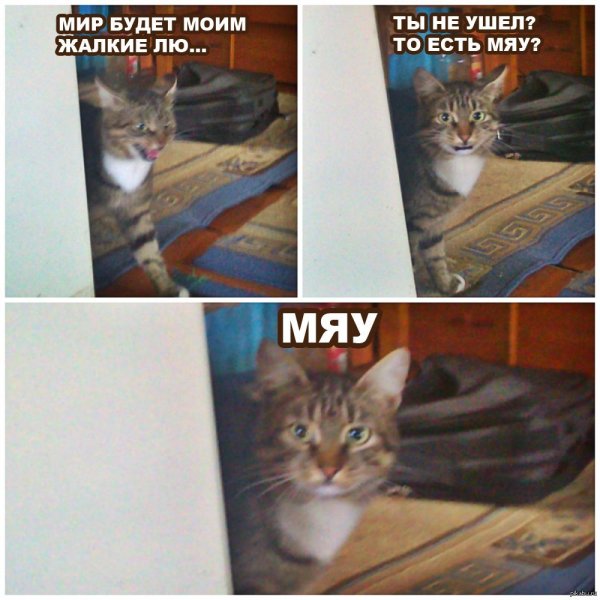 Мир будет моим жалкие людишки