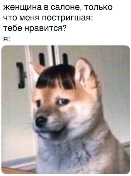 МО.ака с челкой