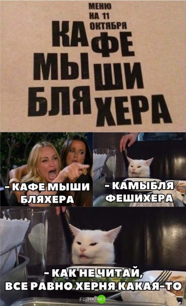 Мем с котом и девушками
