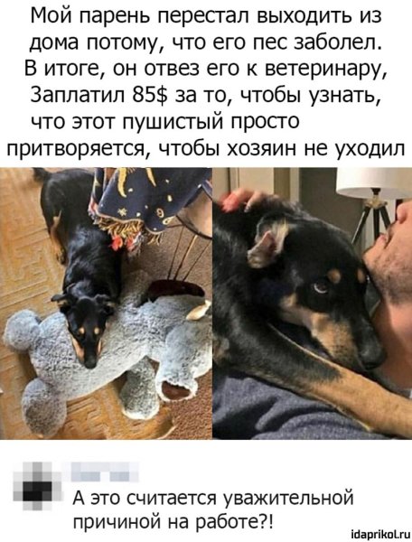 Юмор про собак и хозяев
