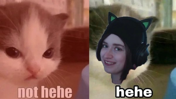 Not hehe кот