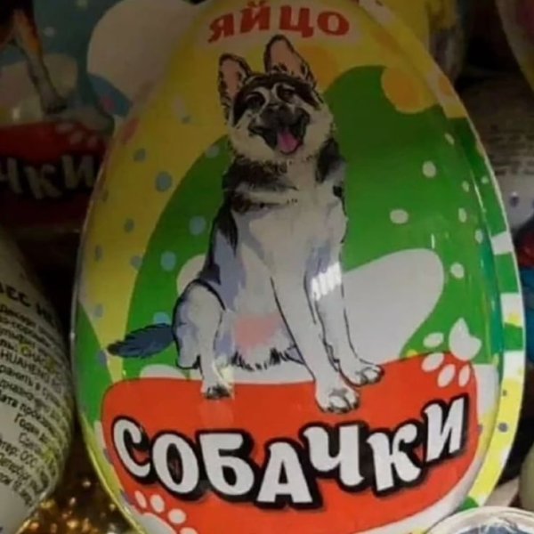 Собака яйцо