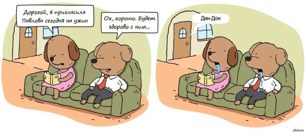 Собака Павлова Мем