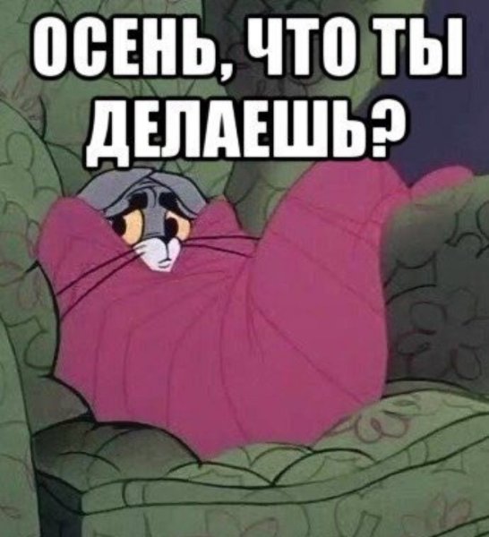 Холодно прикол