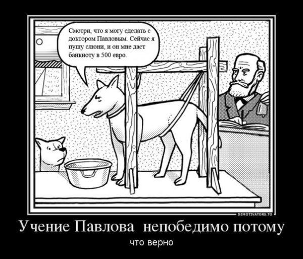 Павлов собака Павлова