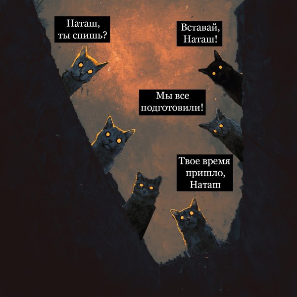 Наташа вставай коты