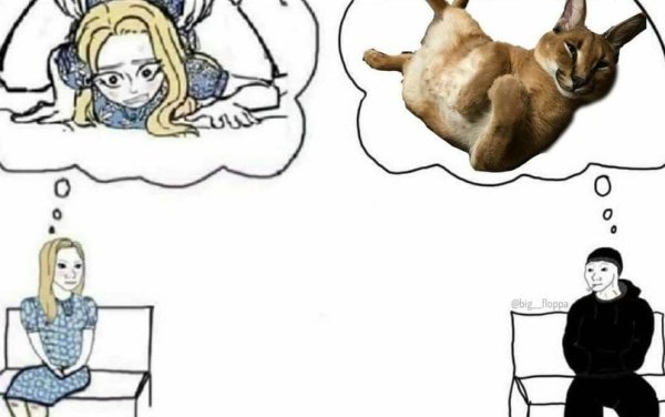 Шлёппа мемы