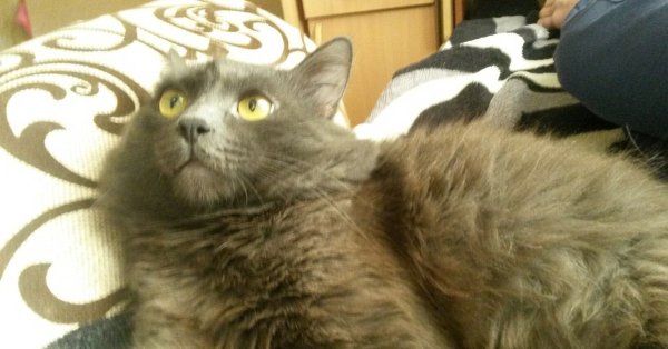 Я В ступоре