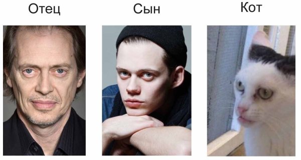 Билл Скарсгард Стив Бушеми и кот