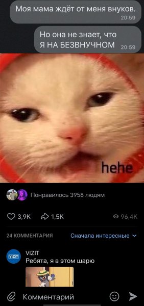 Котик хехе Мем