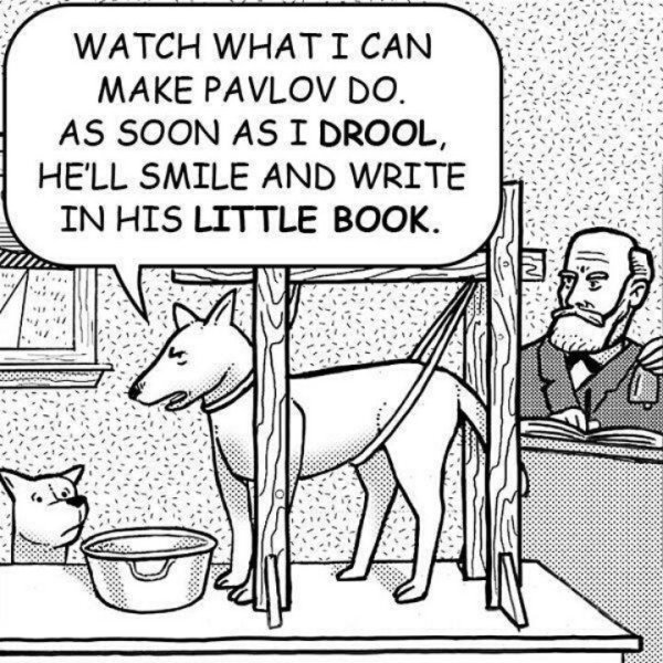 Собака Павлова