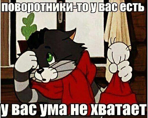 У нас ума не хватает Матроскин