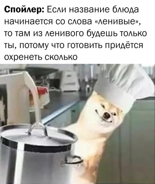 Мемы котик повар