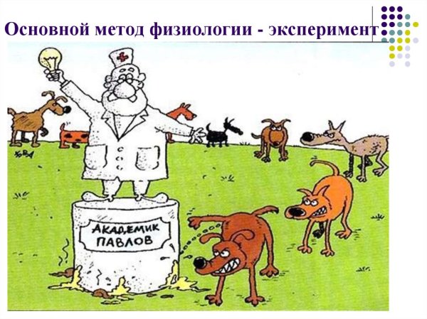 Иван Петрович Павлов собака