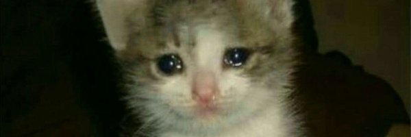 Плачущий котик