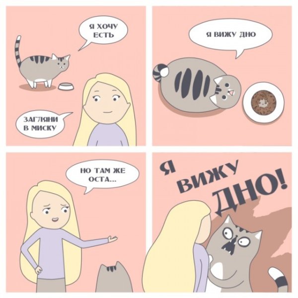 Комикс про кота