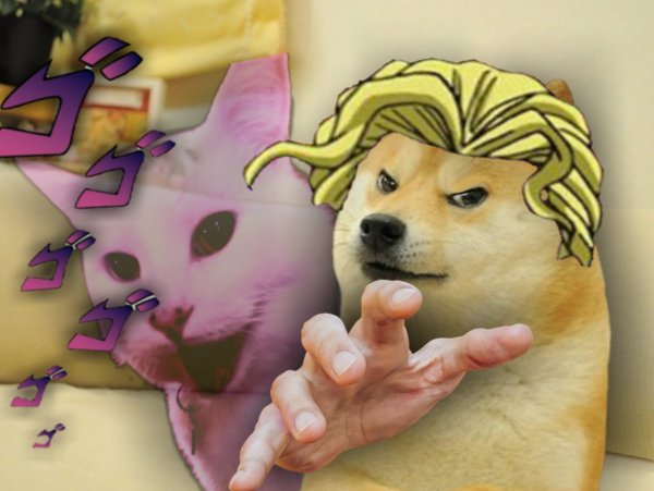 Собака Джо Джо ава