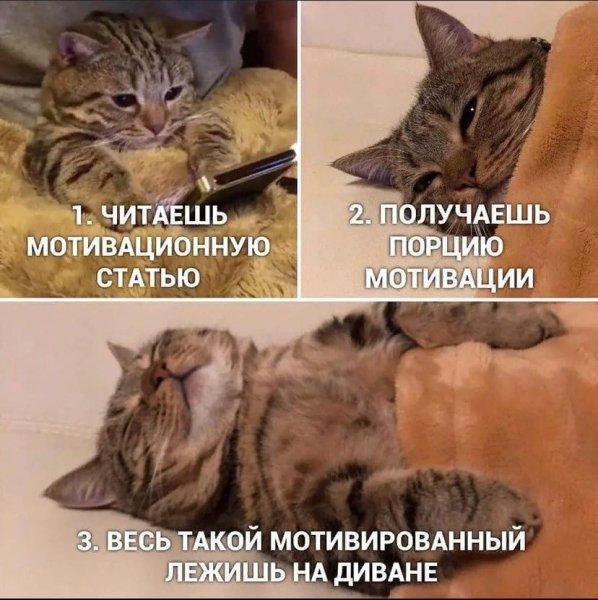 Мемы про мотивацию