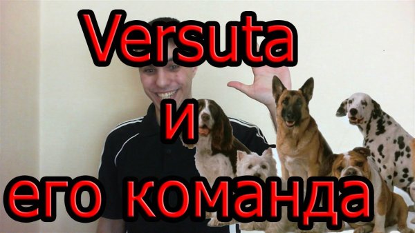 Версута сын собаки