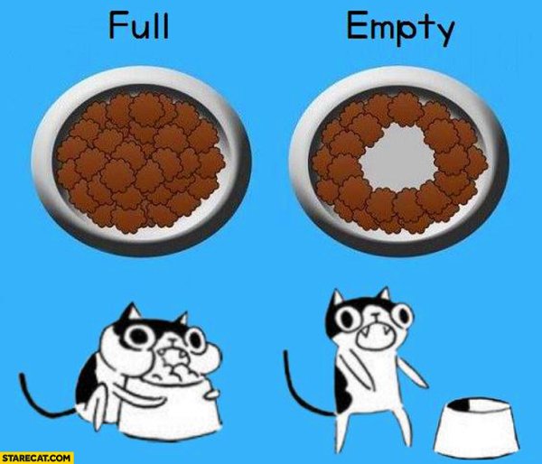 Мемы с кошками