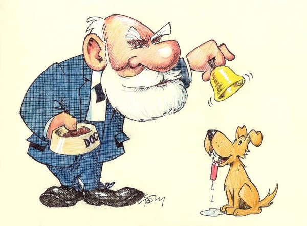 Павлов Иван Петрович эксперименты