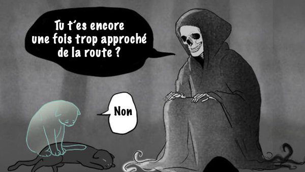 Грустный комикс про кота и смерть