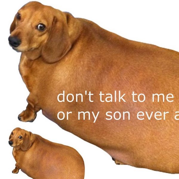 Don't talk to me or my son ever again Мем