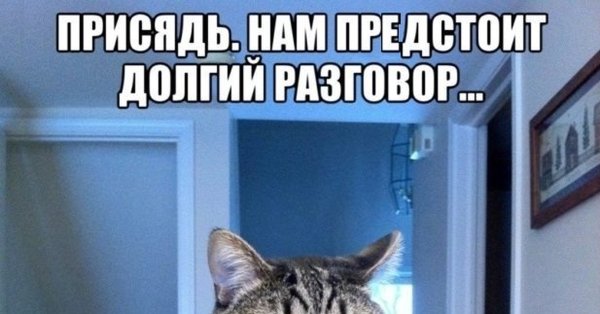 У меня серьезный разговор