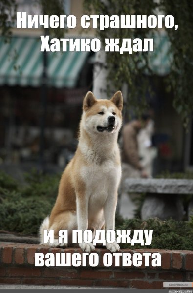 Грустный Хатико