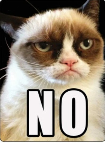 Кот no