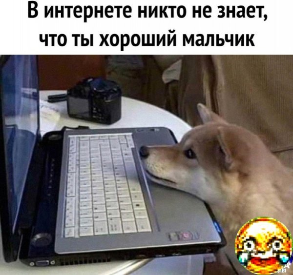 Собака PF rjvg.nthjv
