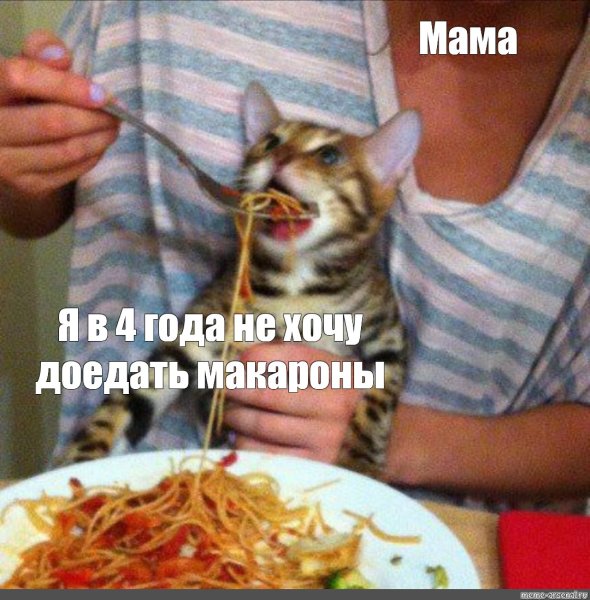 Кот макароны Мем