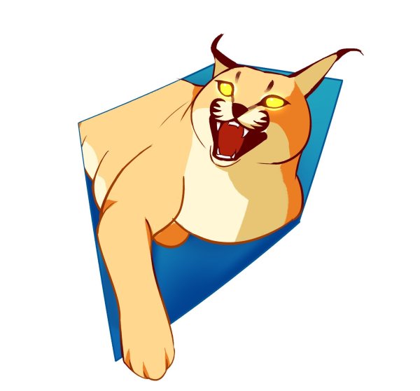 Каракал флоппа