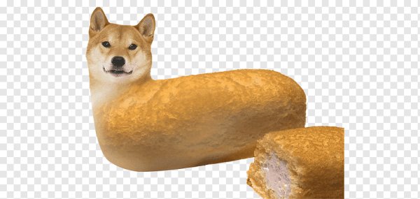 Шиба ину хлеб