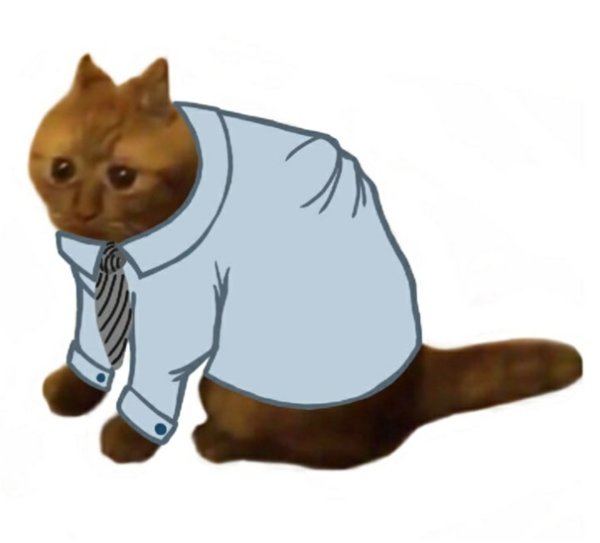 Кот работяга Мем